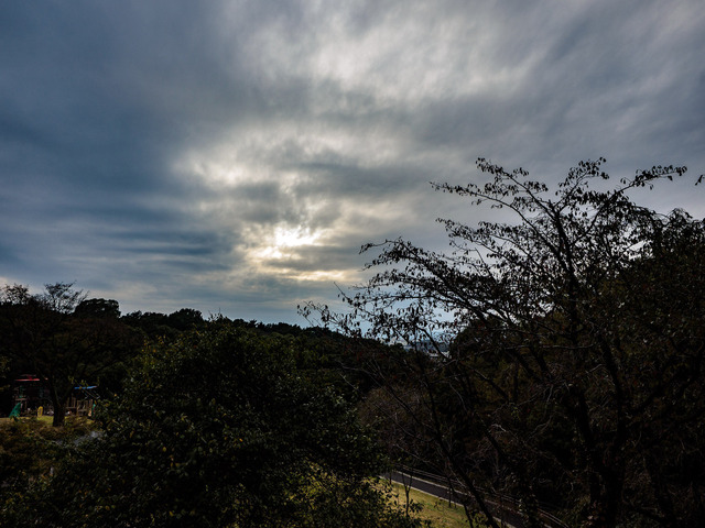 MA300277_CameraRAW_2048.jpg