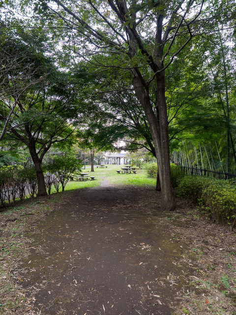 MA300298_CameraRAW_2048.jpg