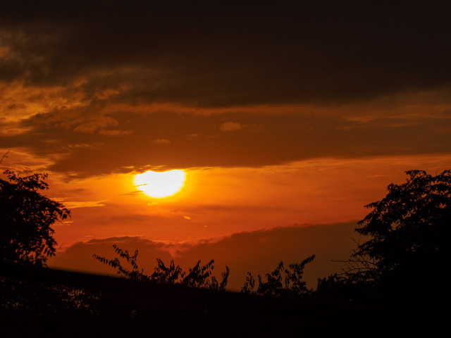MA300387_CameraRAW_2048.jpg