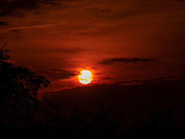 MA300399_CameraRAW_2048.jpg