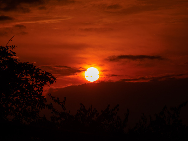 MA300400_CameraRAW_2048.jpg
