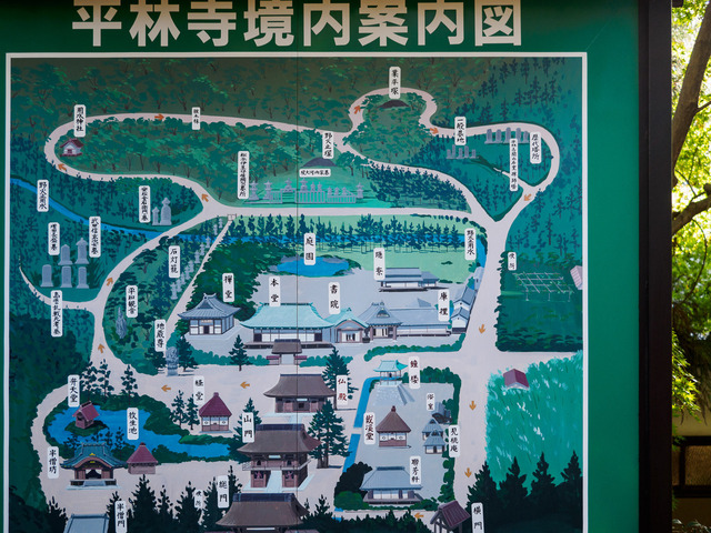 MB190153_CameraRAW_2048.jpg