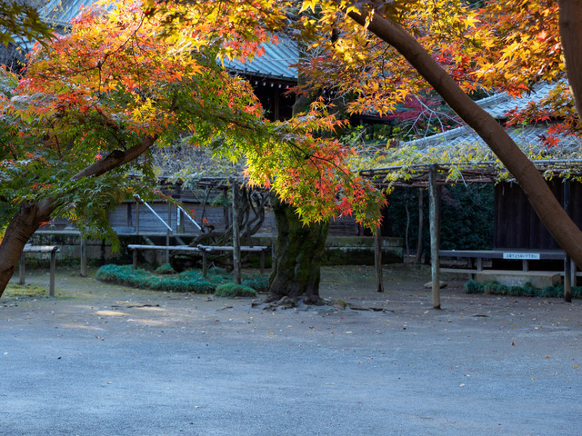 MB190169_CameraRAW_2048.jpg