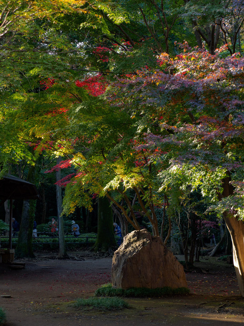 MB190173_CameraRAW_2048.jpg