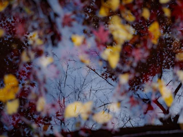 MB190199_CameraRAW_2048.jpg