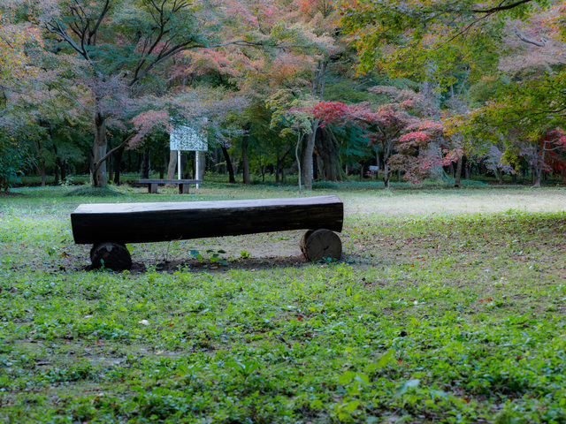 MB190248_CameraRAW_2048.jpg