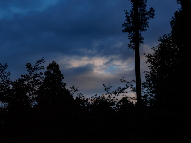MB190260_CameraRAW_2048.jpg