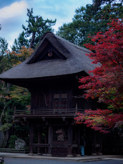 MB190286_CameraRAW_2048.jpg