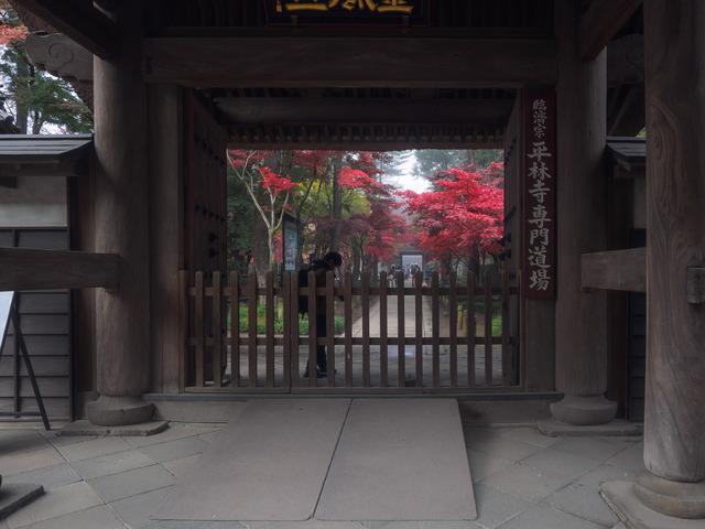 MB201842_CameraRAW_2048.jpg