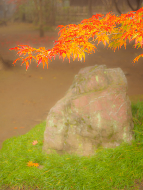 MB201887_CameraRAW_2048.jpg