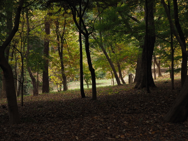 MB220073_2048x1536.jpg