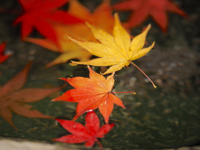 MB220099_2048x1536_2.jpg