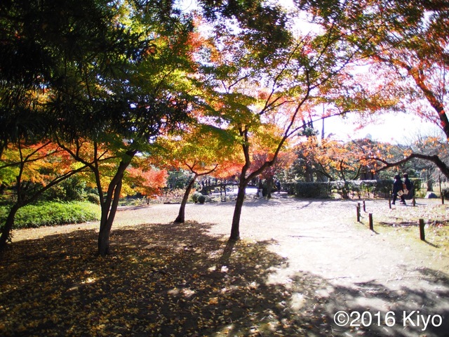 MB263389_2048x1536_signed.jpg