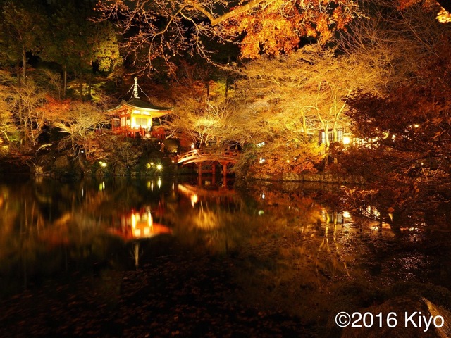 MB263696_2048x1536_signed.jpg