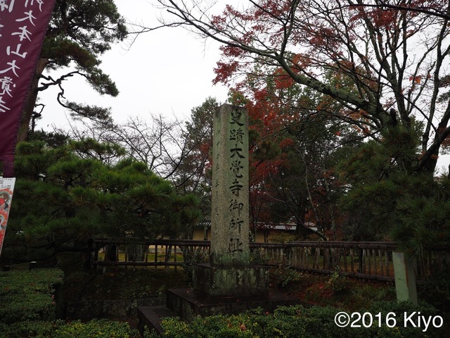 MB273831_2048x1536_signed.jpg