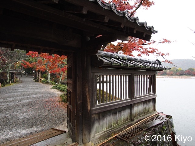 MB273854_2048x1536_signed.jpg
