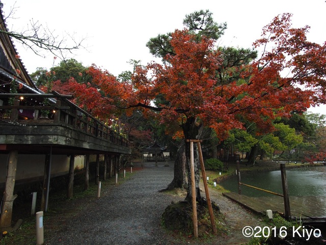 MB273882_2048x1536_signed.jpg