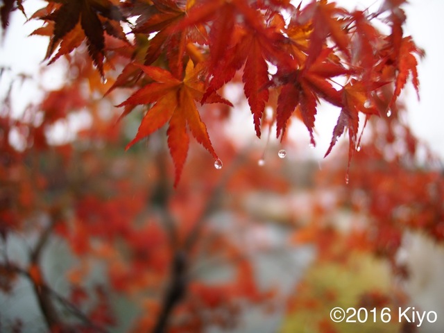 MB273929_2048x1536_signed.jpg