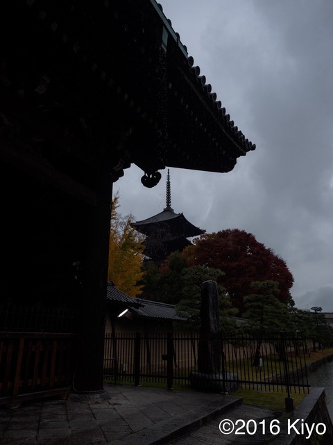 MB274207_CameraRAW_2048_signed.jpg