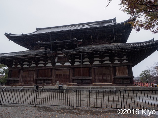MB274216_CameraRAW_2048_signed.jpg