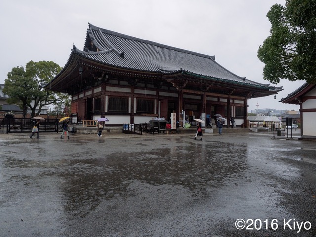 MB274218_CameraRAW_2048_signed.jpg