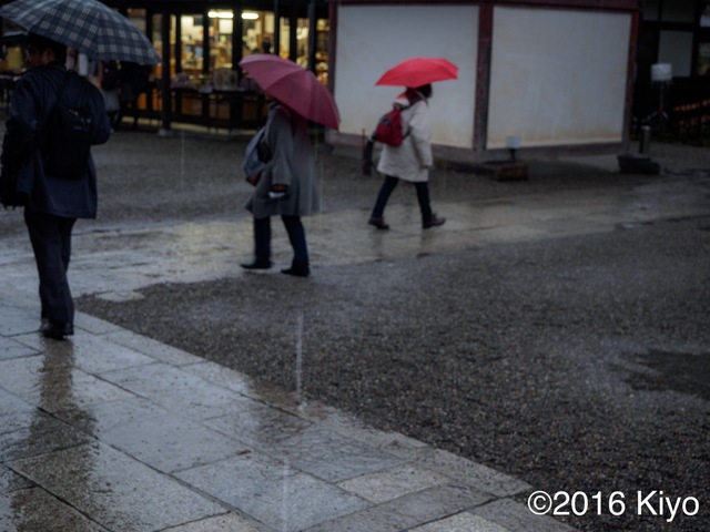 MB274223_CameraRAW_2048_signed.jpg
