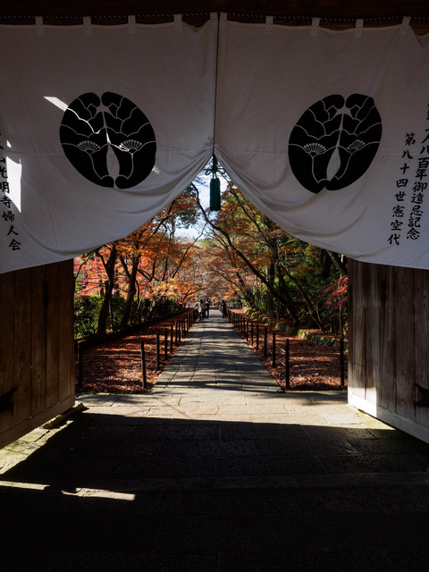 MC142589_CameraRAW_2048.jpg