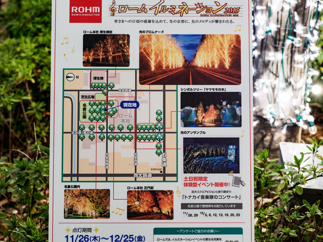 MC143195_CameraRAW_2048.jpg