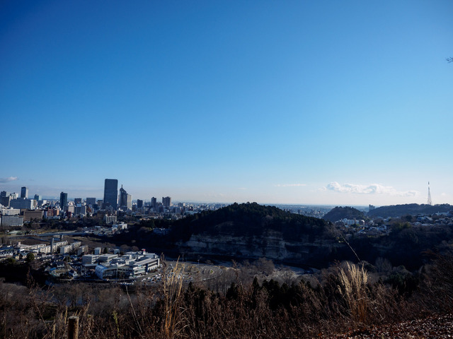 MC263379_CameraRAW_2048.jpg
