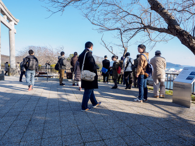 MC263485_CameraRAW_2048.jpg