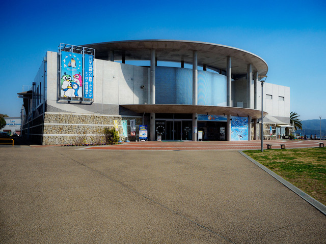 O3021373_CameraRAW_2048.jpg