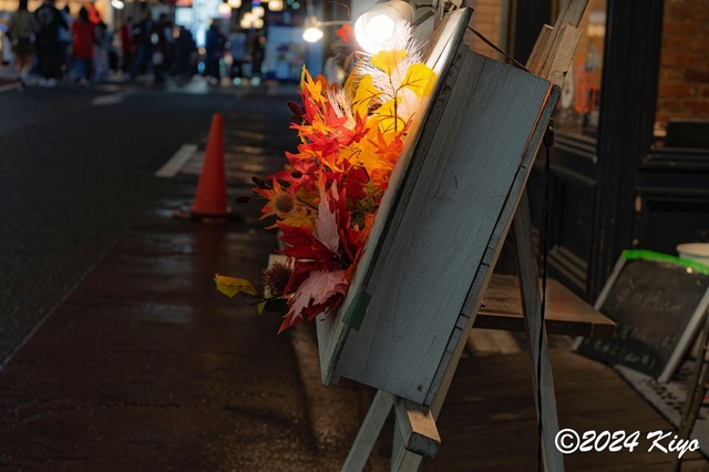 DSC00101-DxO_DeepPRIME XD2s_CameraRAW17_signed.jpg