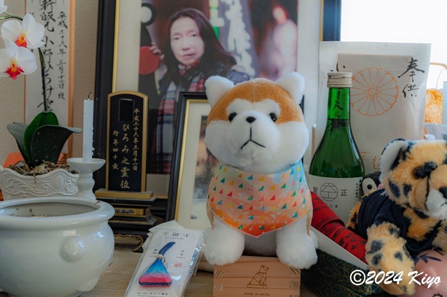 DSC01577-DxO_DeepPRIME XD2s_CameraRAW17_signed.jpg