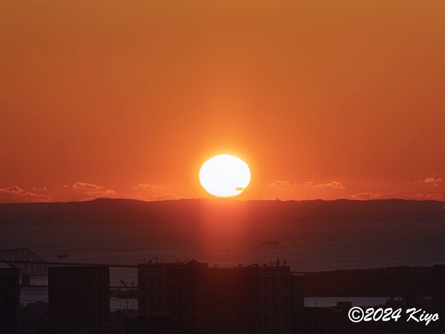 O1011603-DxO_DeepPRIME XD2s_CameraRAW17_signed.jpg