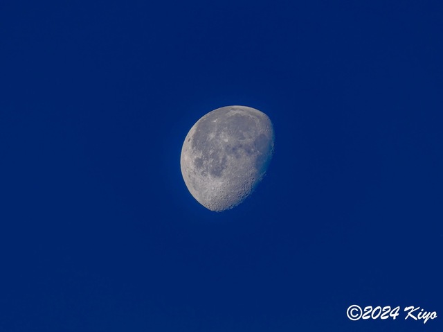 O1011850-ORF_DxO_DeepPRIMEXD-強化-SR_CameraRAW2_signed.jpg