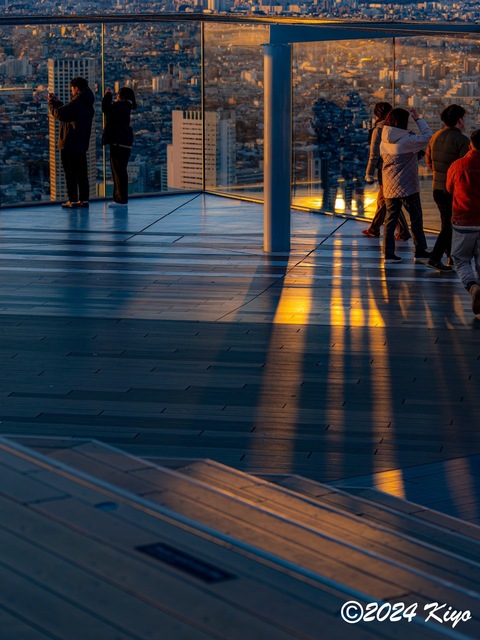 O1011855-ORF_DxO_DeepPRIMEXD_CameraRAW2_signed.jpg