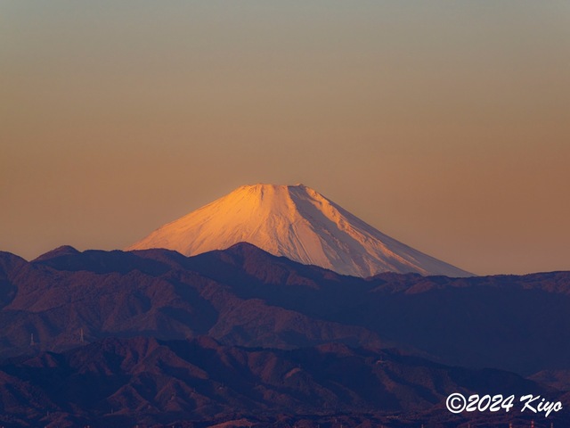 O1011859-ORF_DxO_DeepPRIMEXD-強化-SR_CameraRAW2_signed.jpg