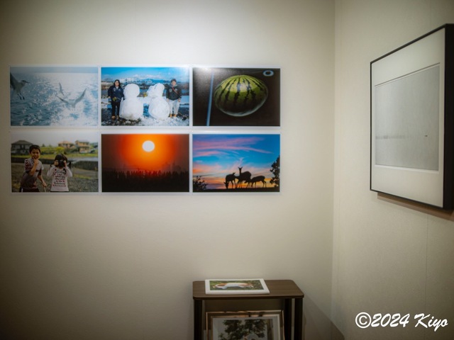 O2230359-ORF_DxO_DeepPRIMEXD_CameraRAW2_signed.jpg