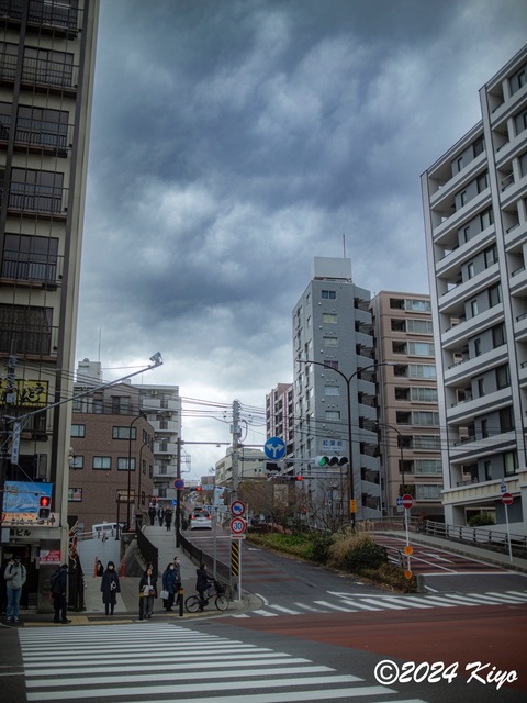 O3020638-ORF_DxO_DeepPRIMEXD_CameraRAW2_signed.jpg