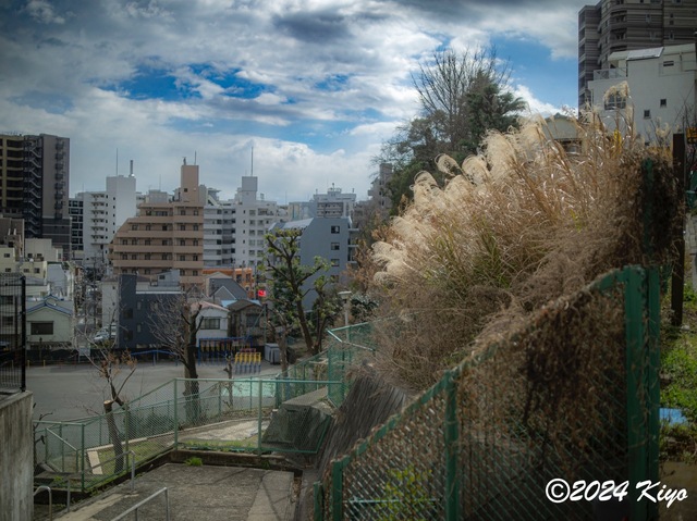 O3020645-ORF_DxO_DeepPRIMEXD_CameraRAW2_signed.jpg