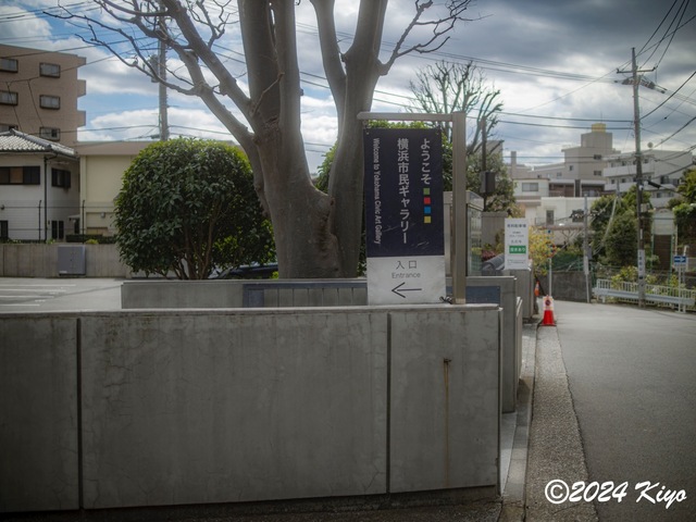 O3020653-ORF_DxO_DeepPRIMEXD_CameraRAW2_signed.jpg