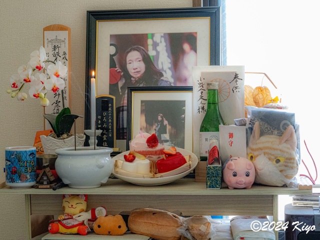 O3110722_CameraRAW2_signed.jpg