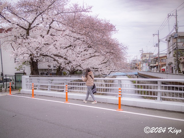 O4050799-ORF_DxO_DeepPRIMEXD_CameraRAW2_signed.jpg