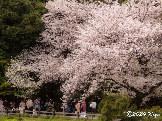 O4060949-ORF_DxO_DeepPRIMEXD_CameraRAW2_signed.jpg