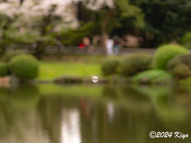 O4060958-ORF_DxO_DeepPRIMEXD_CameraRAW2_signed.jpg