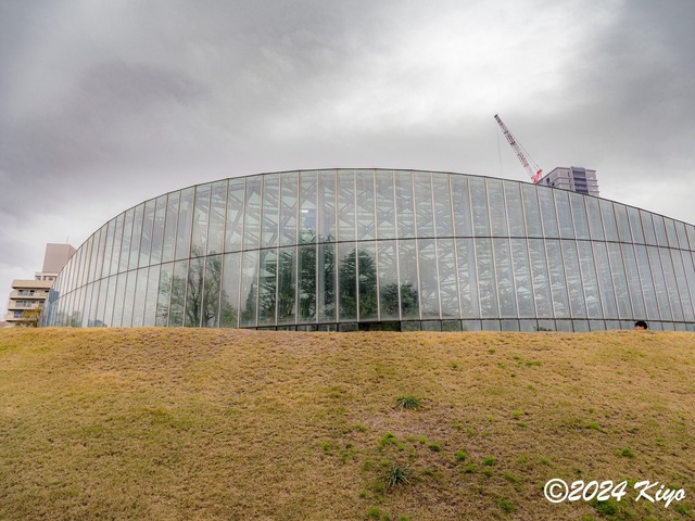 O4061112-ORF_DxO_DeepPRIMEXD_CameraRAW2_signed.jpg