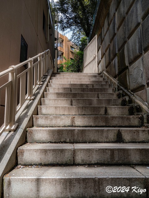 O4131475-ORF_DxO_DeepPRIMEXD_CameraRAW2_signed.jpg