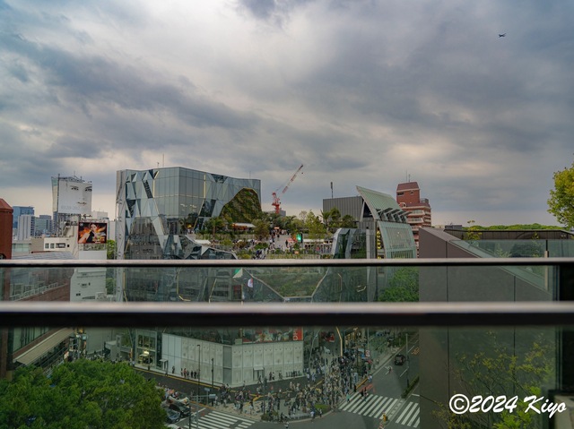 O4211744-ORF_DxO_DeepPRIMEXD_CameraRAW2_signed.jpg