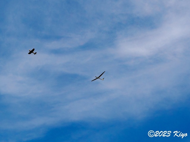 O4290199-ORF_DxO_DeepPRIMEXD_CameraRAW2_signed.jpg