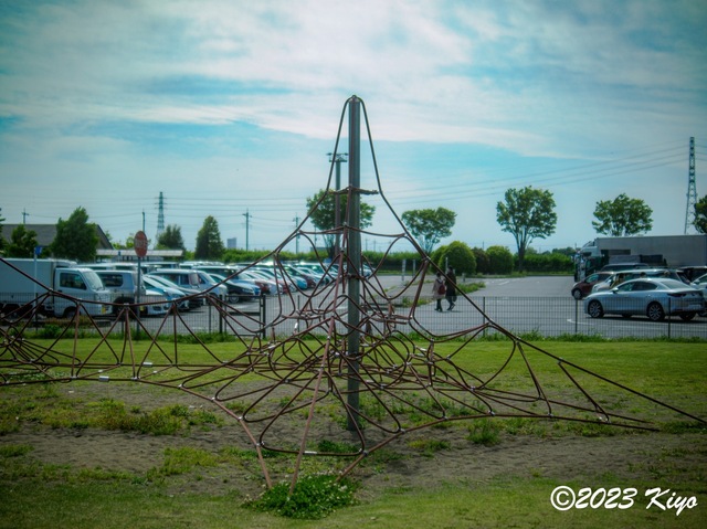 O4290286-ORF_DxO_DeepPRIMEXD_CameraRAW2_signed.jpg